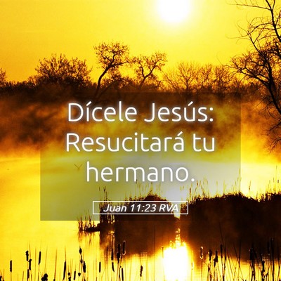 Picture 05 - Juan 11:23 RVA - Dícele Jesús: Resucitará tu - Bible Verse Picture