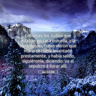 Picture 05 - Juan 11:31 RVA - Entonces los Judíos que estaban en casa con - Bible Verse Picture