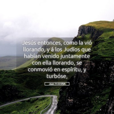 Picture 05 - Juan 11:33 RVA - Jesús entonces, como la vió llorando, y á los - Bible Verse Picture