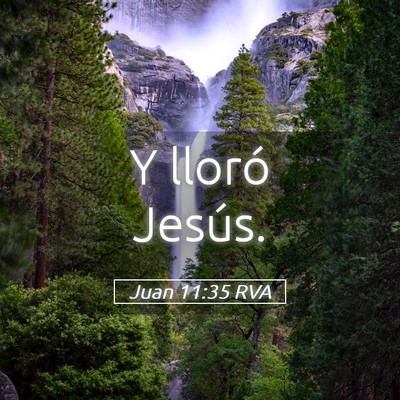 Picture 05 - Juan 11:35 RVA - Y lloró - Bible Verse Picture