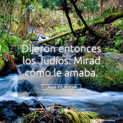 Picture 05 - Juan 11:36 RVA - Dijeron entonces los Judíos: Mirad cómo le - Bible Verse Picture