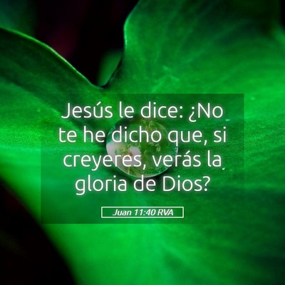 Picture 05 - Juan 11:40 RVA - Jesús le dice: ¿No te he dicho que, si - Bible Verse Picture