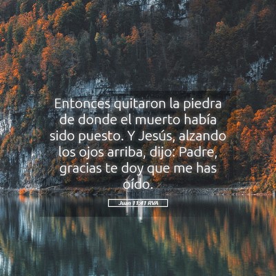 Picture 05 - Juan 11:41 RVA - Entonces quitaron la piedra de donde el muerto - Bible Verse Picture