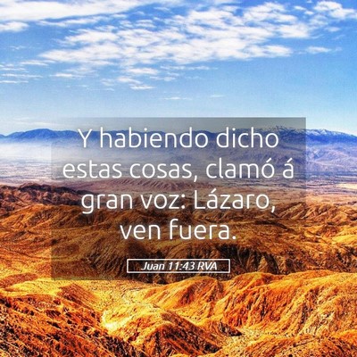 Picture 05 - Juan 11:43 RVA - Y habiendo dicho estas cosas, clamó á gran voz: - Bible Verse Picture