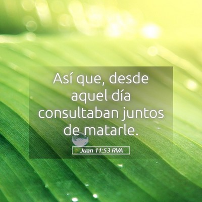 Picture 05 - Juan 11:53 RVA - Así que, desde aquel día consultaban juntos de - Bible Verse Picture