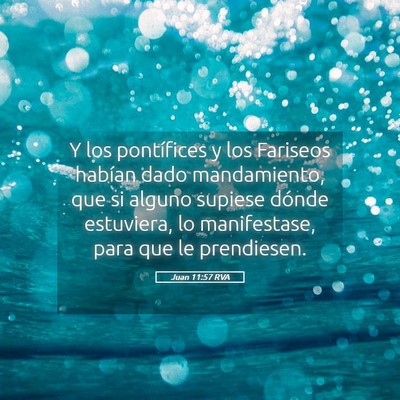 Picture 05 - Juan 11:57 RVA - Y los pontífices y los Fariseos habían dado - Bible Verse Picture