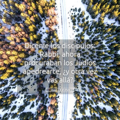 Picture 05 - Juan 11:8 RVA - Dícenle los discípulos: Rabbí, ahora - Bible Verse Picture