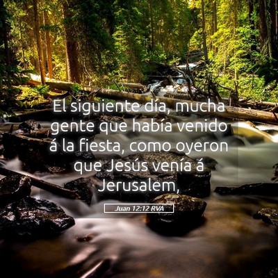 Picture 05 - Juan 12:12 RVA - El siguiente día, mucha gente que había venido - Bible Verse Picture
