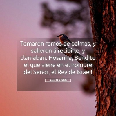 Picture 05 - Juan 12:13 RVA - Tomaron ramos de palmas, y salieron á recibirle, - Bible Verse Picture