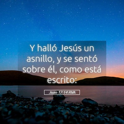 Picture 05 - Juan 12:14 RVA - Y halló Jesús un asnillo, y se sentó sobre - Bible Verse Picture