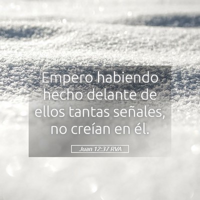 Picture 05 - Juan 12:37 RVA - Empero habiendo hecho delante de ellos tantas - Bible Verse Picture