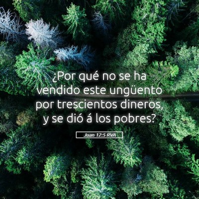 Picture 05 - Juan 12:5 RVA - ¿Por qué no se ha vendido este ungüento por - Bible Verse Picture