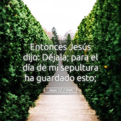 Picture 05 - Juan 12:7 RVA - Entonces Jesús dijo: Déjala; para el día de mi - Bible Verse Picture