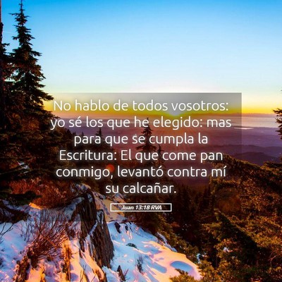 Picture 05 - Juan 13:18 RVA - No hablo de todos vosotros: yo sé los que he - Bible Verse Picture