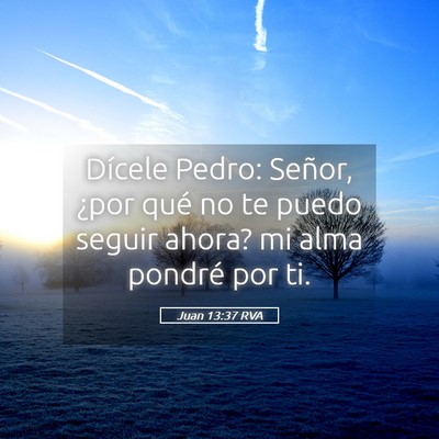 Picture 05 - Juan 13:37 RVA - Dícele Pedro: Señor, ¿por qué no te puedo - Bible Verse Picture