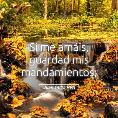 Picture 05 - Juan 14:15 RVA - Si me amáis, guardad mis - Bible Verse Picture
