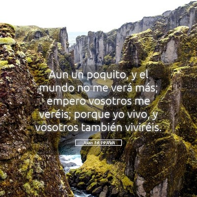 Picture 05 - Juan 14:19 RVA - Aun un poquito, y el mundo no me verá más; - Bible Verse Picture