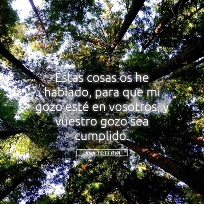 Picture 05 - Juan 15:11 RVA - Estas cosas os he hablado, para que mi gozo esté - Bible Verse Picture