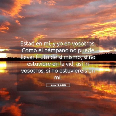 Picture 05 - Juan 15:4 RVA - Estad en mí, y yo en vosotros. Como el pámpano - Bible Verse Picture