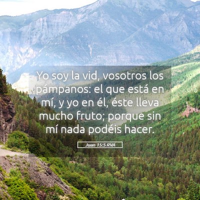 Picture 05 - Juan 15:5 RVA - Yo soy la vid, vosotros los pámpanos: el que - Bible Verse Picture