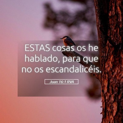 Picture 05 - Juan 16:1 RVA - ESTAS cosas os he hablado, para que no os - Bible Verse Picture