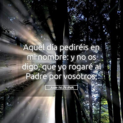 Picture 05 - Juan 16:26 RVA - Aquel día pediréis en mi nombre: y no os digo, - Bible Verse Picture