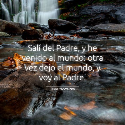Picture 05 - Juan 16:28 RVA - Salí del Padre, y he venido al mundo: otra vez - Bible Verse Picture