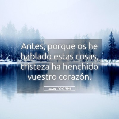 Picture 05 - Juan 16:6 RVA - Antes, porque os he hablado estas cosas, tristeza - Bible Verse Picture