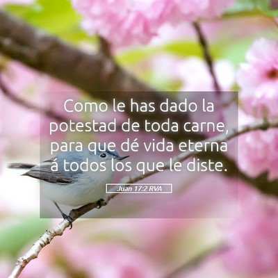 Picture 05 - Juan 17:2 RVA - Como le has dado la potestad de toda carne, para - Bible Verse Picture