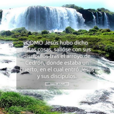 Picture 05 - Juan 18:1 RVA - COMO Jesús hubo dicho estas cosas, salióse con - Bible Verse Picture