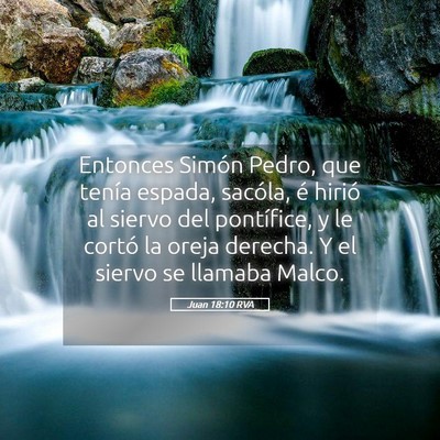 Picture 05 - Juan 18:10 RVA - Entonces Simón Pedro, que tenía espada, - Bible Verse Picture