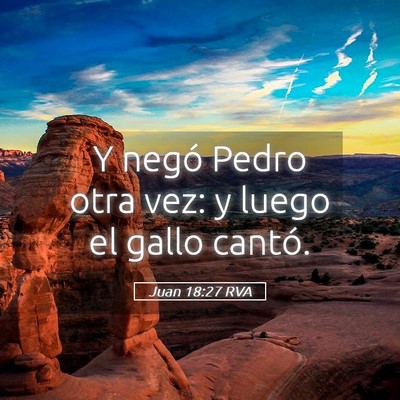 Picture 05 - Juan 18:27 RVA - Y negó Pedro otra vez: y luego el gallo - Bible Verse Picture