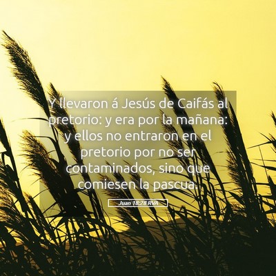 Picture 05 - Juan 18:28 RVA - Y llevaron á Jesús de Caifás al pretorio: y - Bible Verse Picture