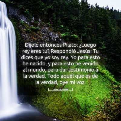 Picture 05 - Juan 18:37 RVA - Díjole entonces Pilato: ¿Luego rey eres tu? - Bible Verse Picture