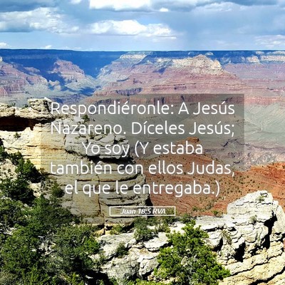 Picture 05 - Juan 18:5 RVA - Respondiéronle: A Jesús Nazareno. Díceles - Bible Verse Picture
