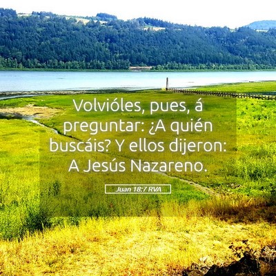 Picture 05 - Juan 18:7 RVA - Volvióles, pues, á preguntar: ¿A quién - Bible Verse Picture
