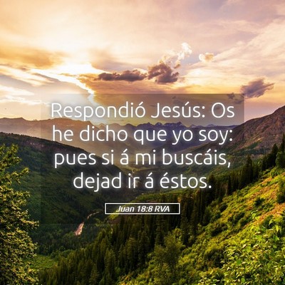 Picture 05 - Juan 18:8 RVA - Respondió Jesús: Os he dicho que yo soy: pues - Bible Verse Picture