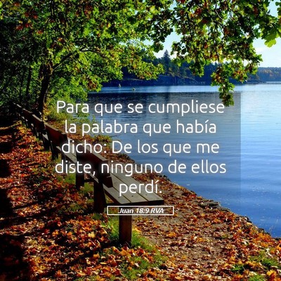 Picture 05 - Juan 18:9 RVA - Para que se cumpliese la palabra que había - Bible Verse Picture