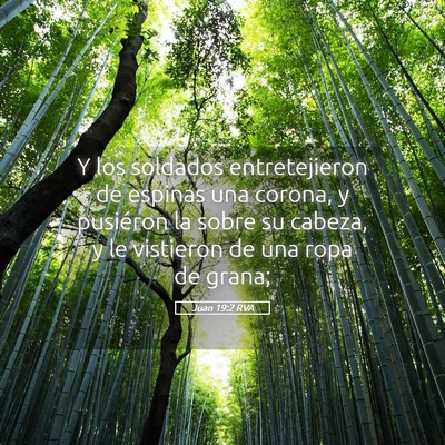 Picture 05 - Juan 19:2 RVA - Y los soldados entretejieron de espinas una - Bible Verse Picture