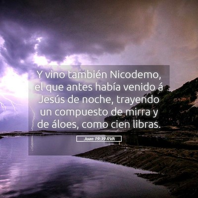 Picture 05 - Juan 19:39 RVA - Y vino también Nicodemo, el que antes había - Bible Verse Picture