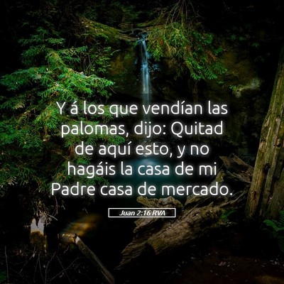 Picture 05 - Juan 2:16 RVA - Y á los que vendían las palomas, dijo: Quitad - Bible Verse Picture