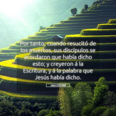 Picture 05 - Juan 2:22 RVA - Por tanto, cuando resucitó de los muertos, sus - Bible Verse Picture