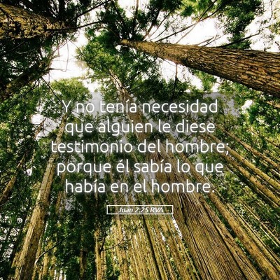 Picture 05 - Juan 2:25 RVA - Y no tenía necesidad que alguien le diese - Bible Verse Picture
