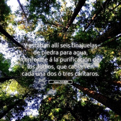 Picture 05 - Juan 2:6 RVA - Y estaban allí seis tinajuelas de piedra para - Bible Verse Picture