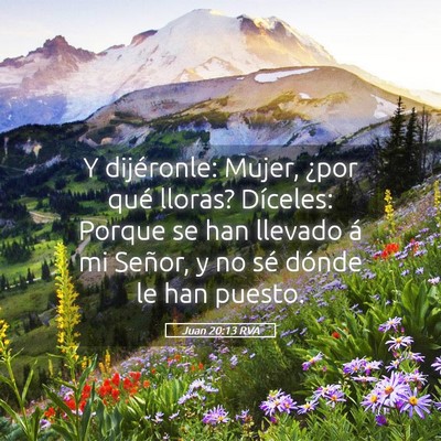 Picture 05 - Juan 20:13 RVA - Y dijéronle: Mujer, ¿por qué lloras? Díceles: - Bible Verse Picture