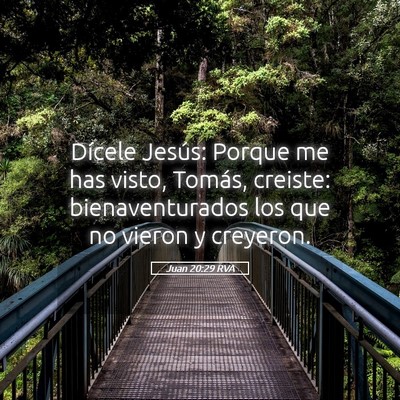 Picture 05 - Juan 20:29 RVA - Dícele Jesús: Porque me has visto, Tomás, - Bible Verse Picture