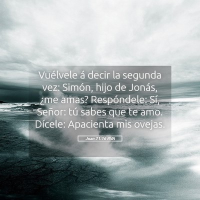 Picture 05 - Juan 21:16 RVA - Vuélvele á decir la segunda vez: Simón, hijo - Bible Verse Picture