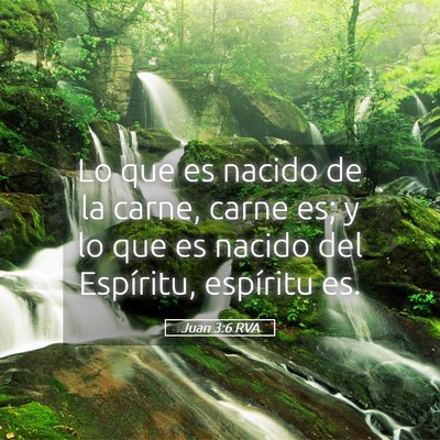 Picture 05 - Juan 3:6 RVA - Lo que es nacido de la carne, carne es; y lo que - Bible Verse Picture