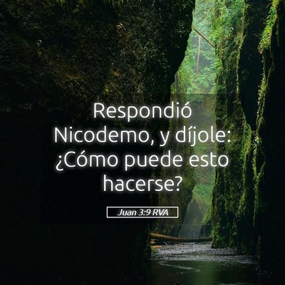 Picture 05 - Juan 3:9 RVA - Respondió Nicodemo, y díjole: ¿Cómo puede - Bible Verse Picture