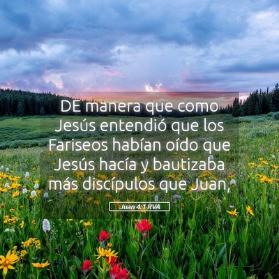 Picture 05 - Juan 4:1 RVA - DE manera que como Jesús entendió que los - Bible Verse Picture